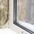 Maxwell Mold Removal by Carson Restoration, Inc.
