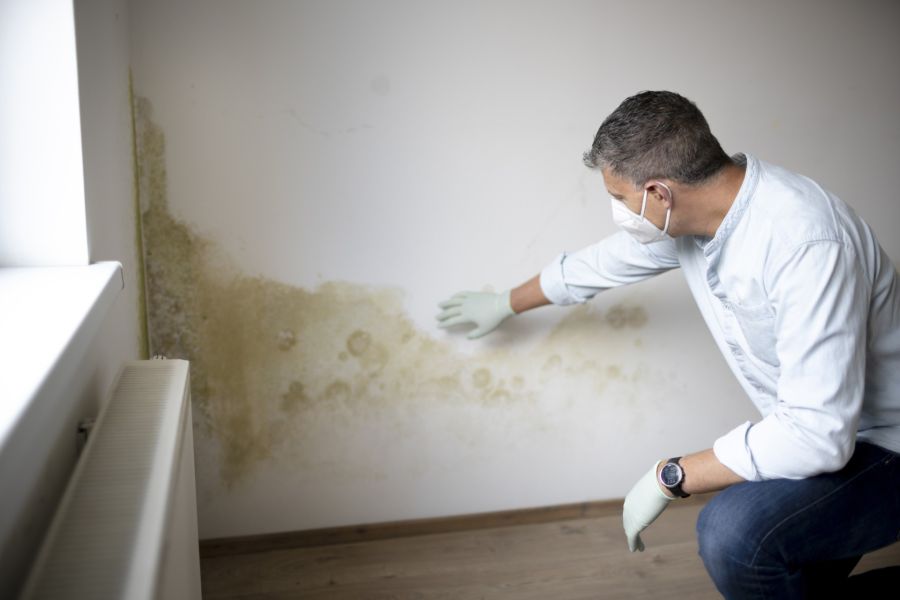 Mold Detection by Carson Restoration, Inc.