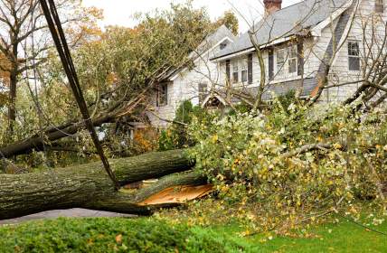 Storm damage restoration in Lebanon by Carson Restoration, Inc.