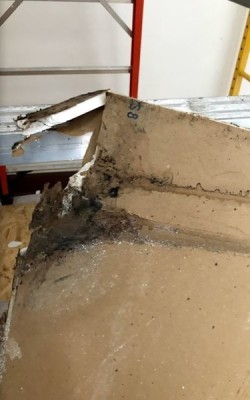 Mold Detection in Camby by Carson Restoration, Inc.